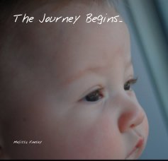 The Journey Begins... book cover