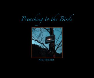 Preaching to the Birds book cover