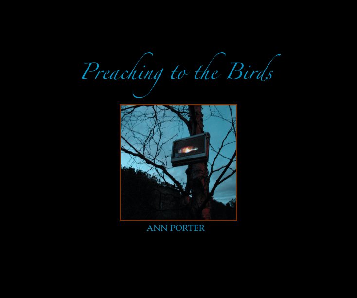 View Preaching to the Birds by Ann Porter
