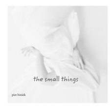 the small things book cover