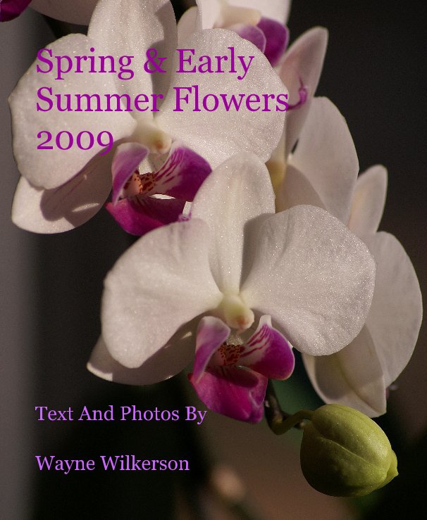 View Spring & Early Summer Flowers 2009 by Wayne Wilkerson