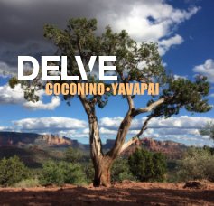 DELVE Coconino | Yavapai book cover