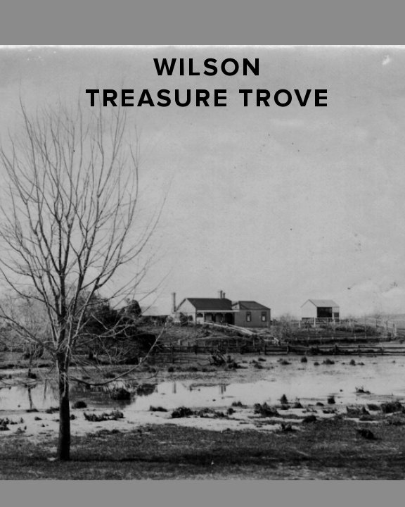 View Wilson Treasure Trove by Elizabeth A McDonald