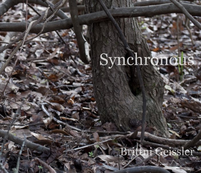 View Synchronous by Brittni A. Geissler