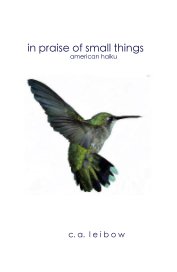 in praise of small things book cover