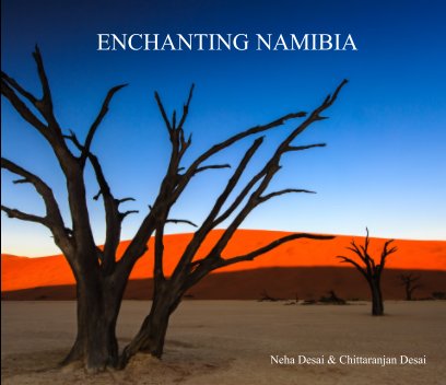 Enchanting Namibia book cover