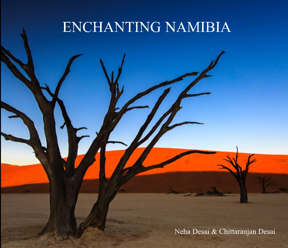 View Enchanting Namibia by Neha Desai, Chittaranjan Desai