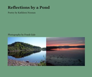 Reflections by a Pond book cover