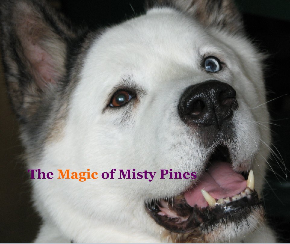 View The Magic of Misty Pines by Mary Beth & Bob Aiello
