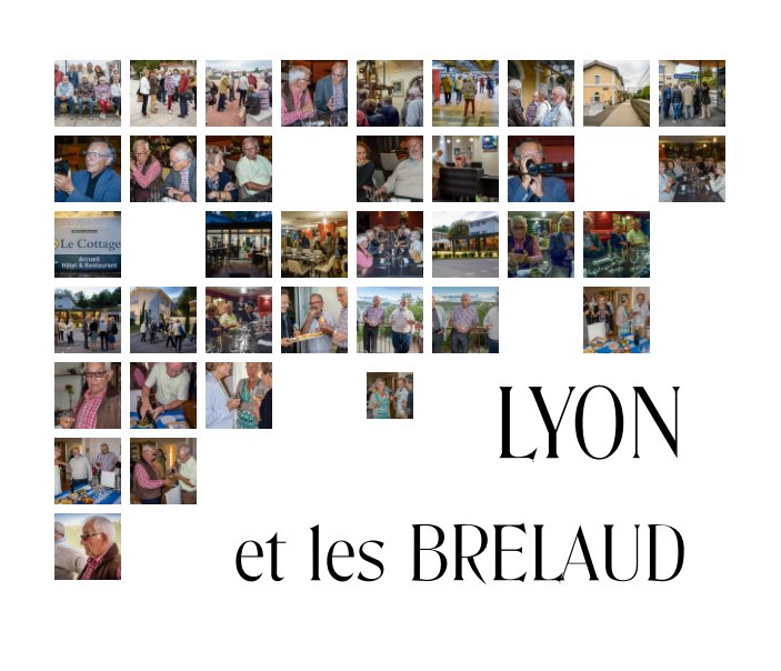 View Lyon et les Brelaud by Jean-Claude Touzot