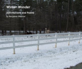 Winter Wonder book cover