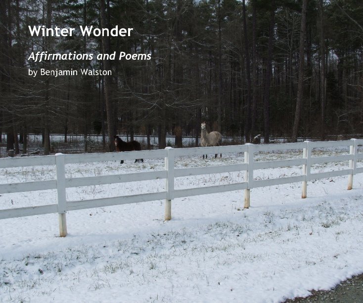 View Winter Wonder by Benjamin Walston