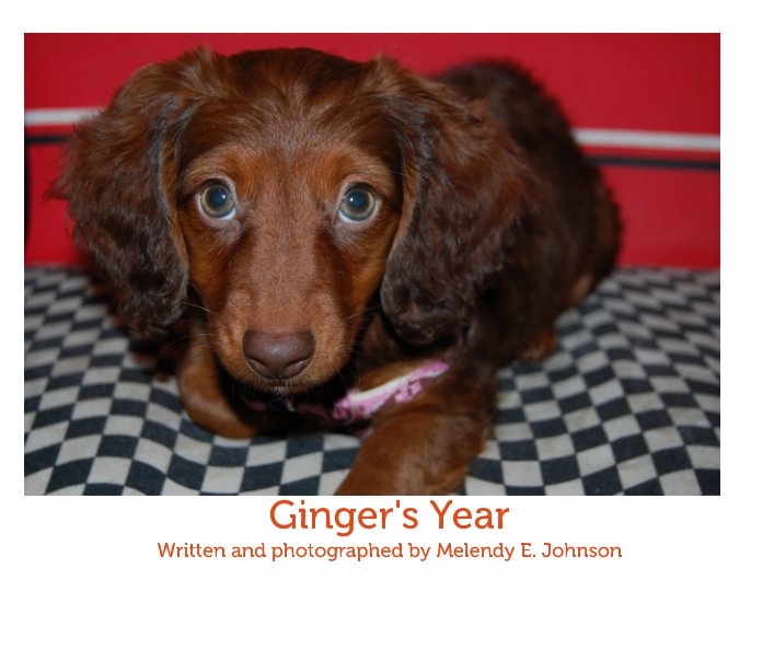View Ginger's Year by Melendy E. Johnson