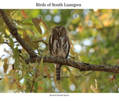 Birds of South Luangwa book cover