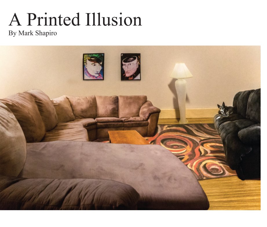 Bekijk A Printed Illusion op Mark Shapiro