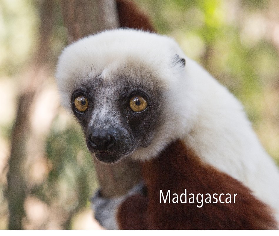Bekijk Madagascar op Marga Royo