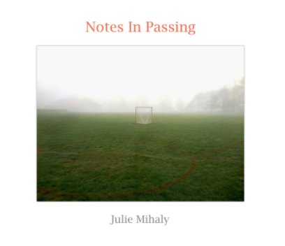 Notes In Passing book cover