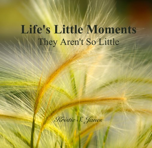 View Life's Little Moments They Aren't So Little by Kristie S. Janes