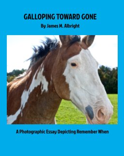 Galloping Toward Gone book cover