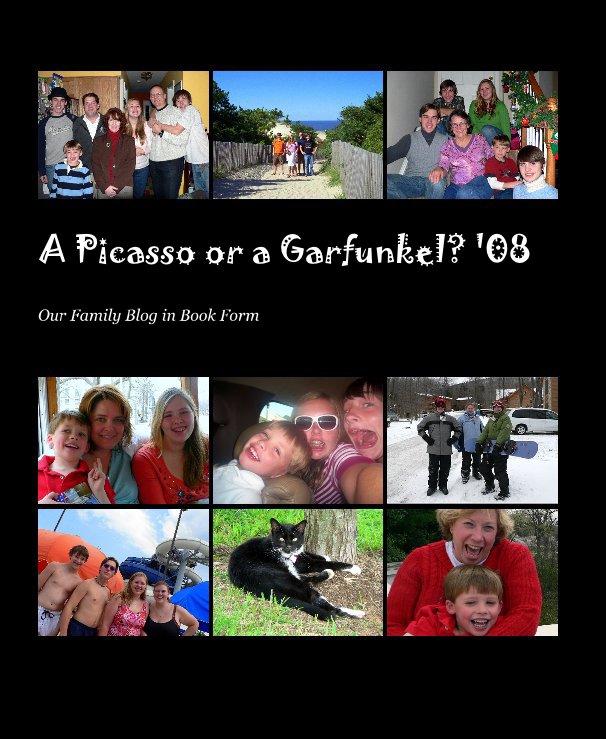 A Picasso or a Garfunkel? '08 nach Cecilia Carr anzeigen