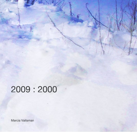 View 2009 : 2000 by Marcia Vaitsman