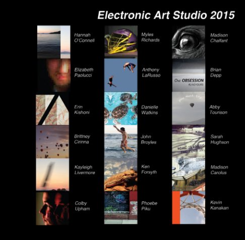 View Electronic Art Studio 2015 by Elmira College Students