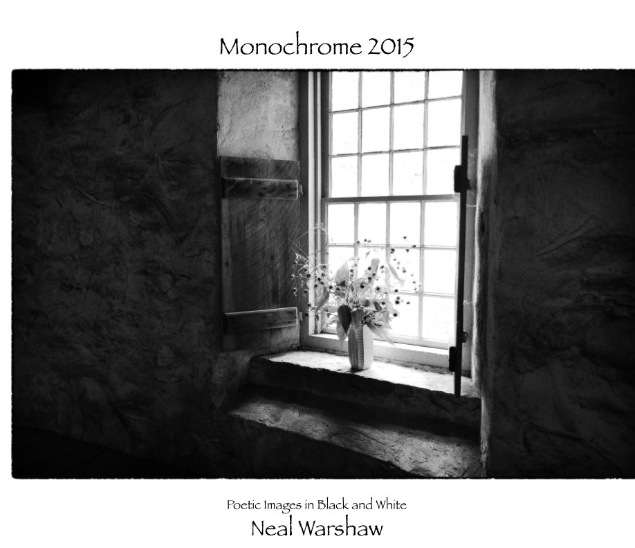 View Monochrome 2015 by Neal Warshaw