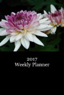 2017 Weekly Planner book cover
