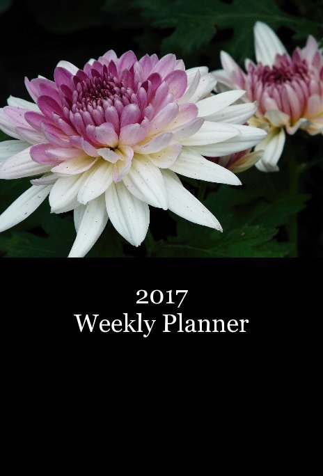 Ver 2017 Weekly Planner por Marnie Bonnett