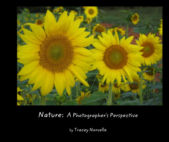 View Nature:  A Photographer's Perspective by Tracey Norvelle