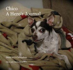 Chico A Hero's Journal book cover