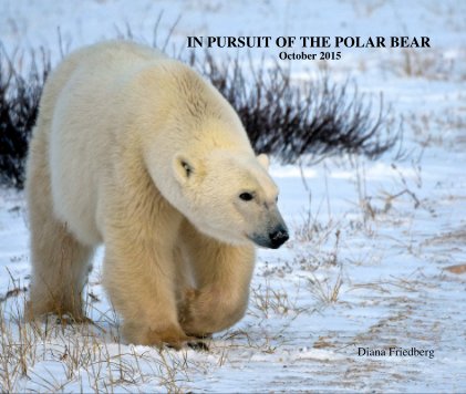 IN PURSUIT OF THE POLAR BEAR October 2015 book cover
