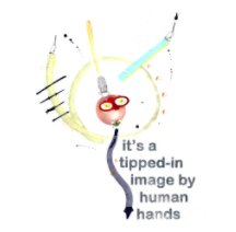 It's a Tipped-in Image by Human Hands book cover
