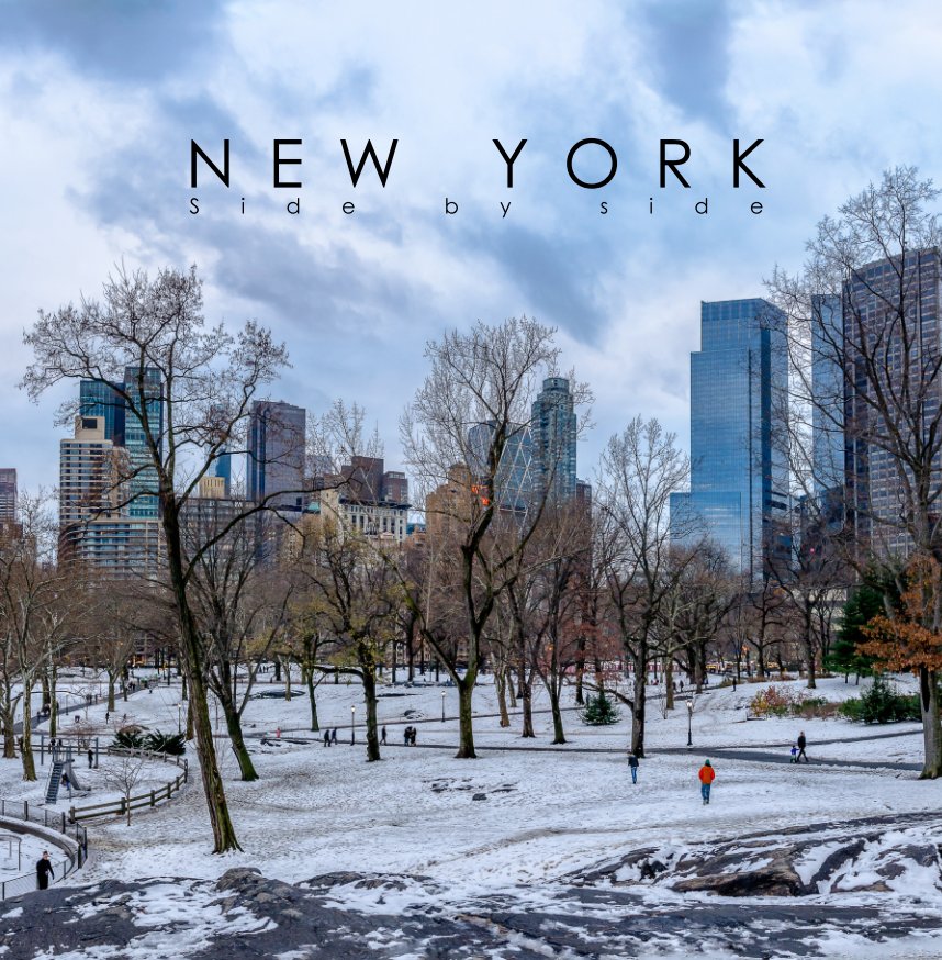 Visualizza NEW YORK - Side by side di Damien Tournaire