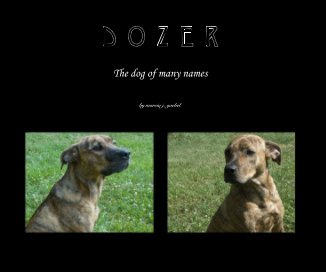 D o z e r book cover