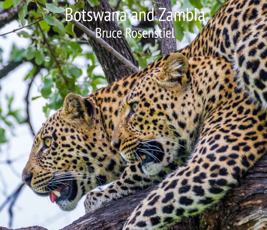 View Botswana and Zambia by Bruce Rosenstiel