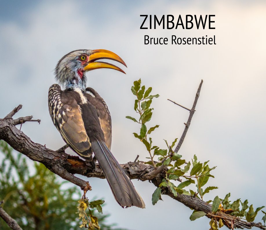 View Zimbabwe by Bruce Rosenstiel