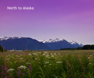 North to Alaska book cover