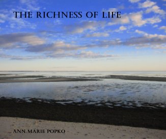 The Richness of Life book cover