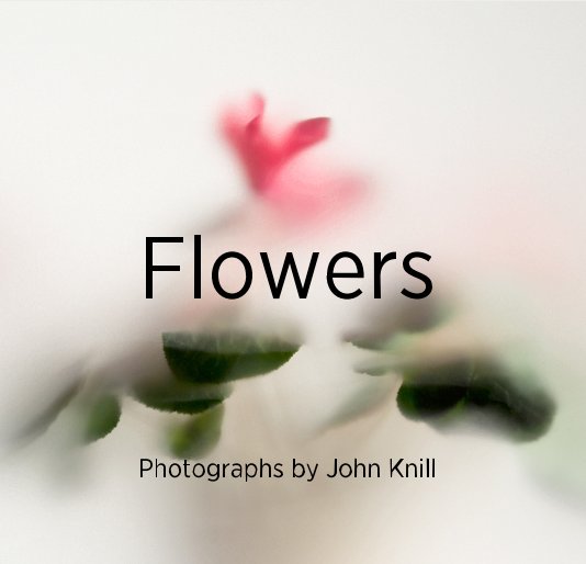 View Flowers by John Knill