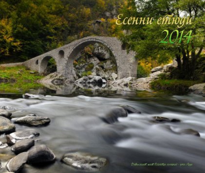 Есенни етюди - 2014 book cover