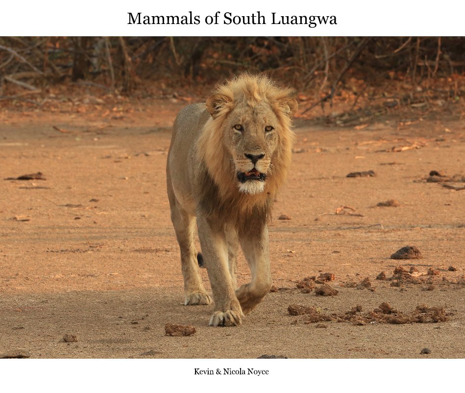Ver Mammals of South Luangwa por Kevin & Nicola Noyce
