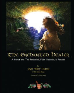 The Enchanted Healer book cover
