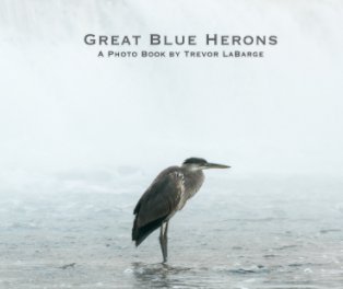Great Blue Herons book cover