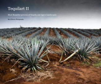 Tequilart II book cover