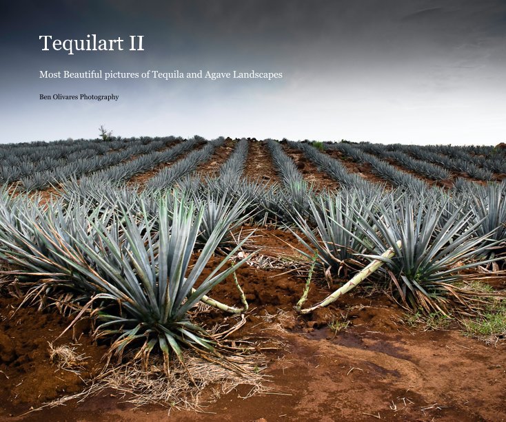 Bekijk Tequilart II op Ben Olivares Photography