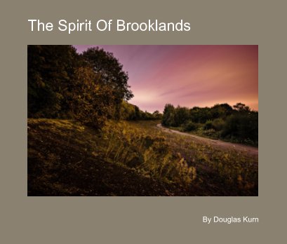 The Spirit Of Brooklands book cover
