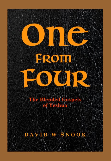 View One From Four by David W Snook