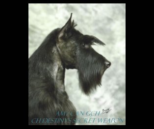 AM / CAN GCH CH DESTINY'S SECRET WEAPON book cover