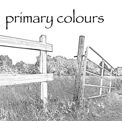 primary colours book cover